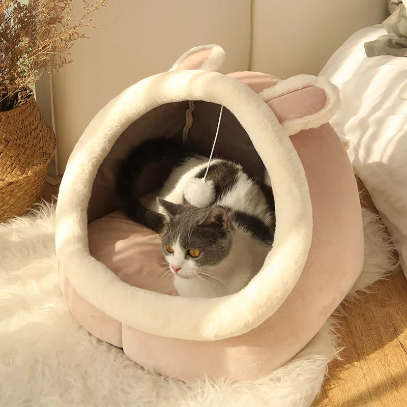 Foldable Cartoon Pet Bed