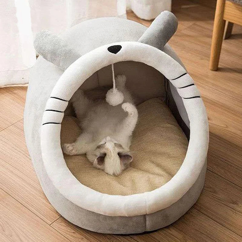 Foldable Cartoon Pet Bed