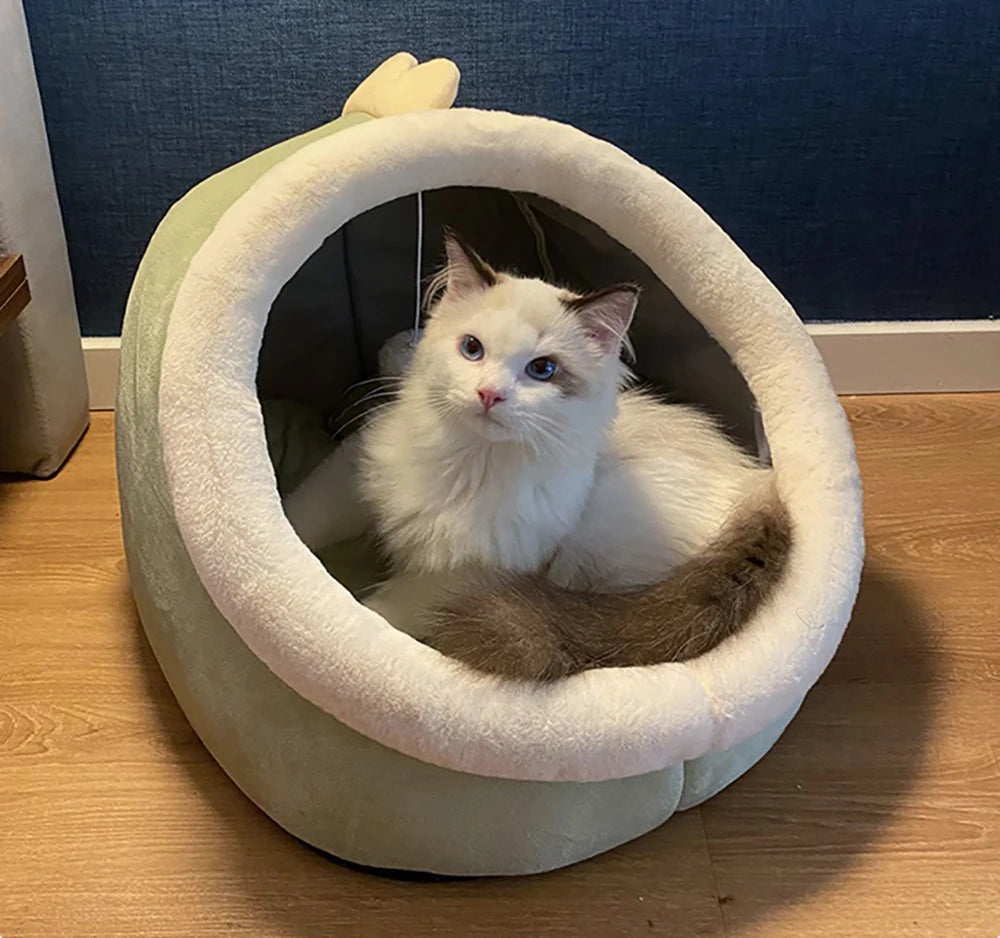 Foldable Cartoon Pet Bed