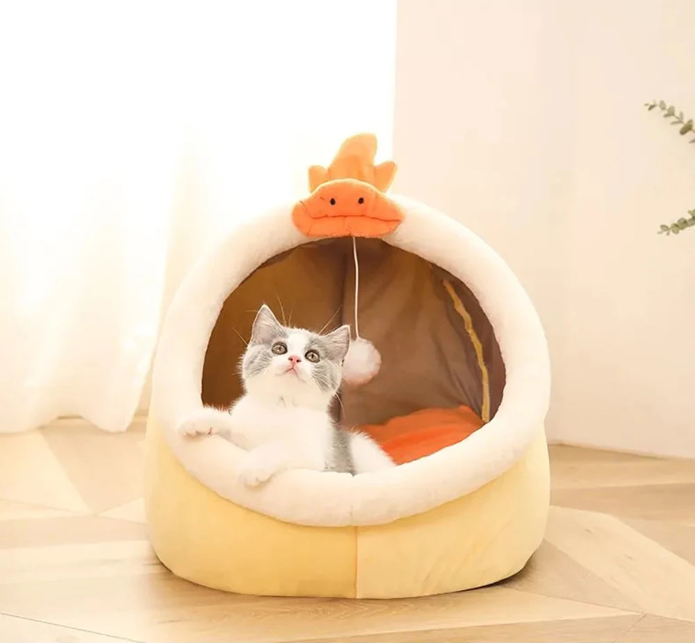 Foldable Cartoon Pet Bed